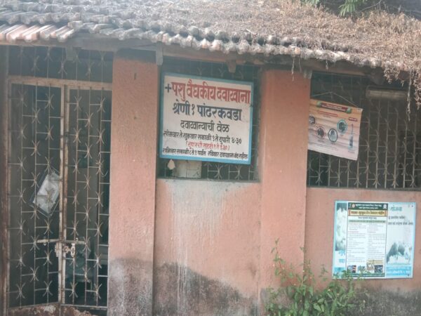 पशु वैद्यकीय दवाखाना