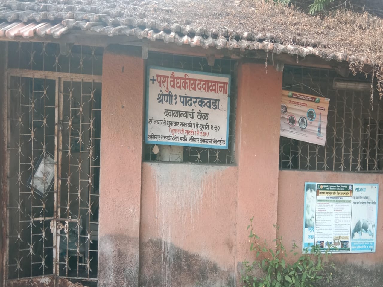 पशु वैद्यकीय दवाखाना